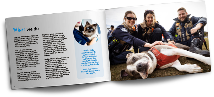 Booklet Image